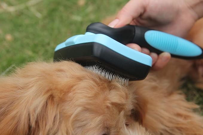Maxpower Planet Self-Cleaning Slicker Brush for Dogs & Cats