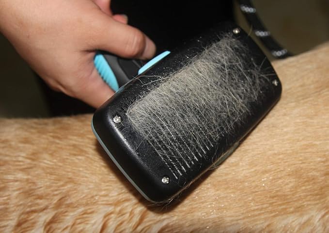 Maxpower Planet Self-Cleaning Slicker Brush for Dogs & Cats